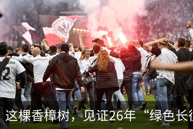 这棵香樟树，见证26年“绿色长征”